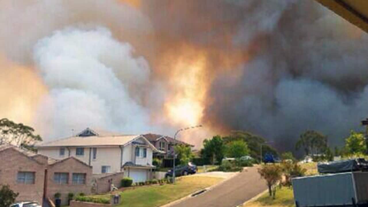 A bushfire burning in Springwood