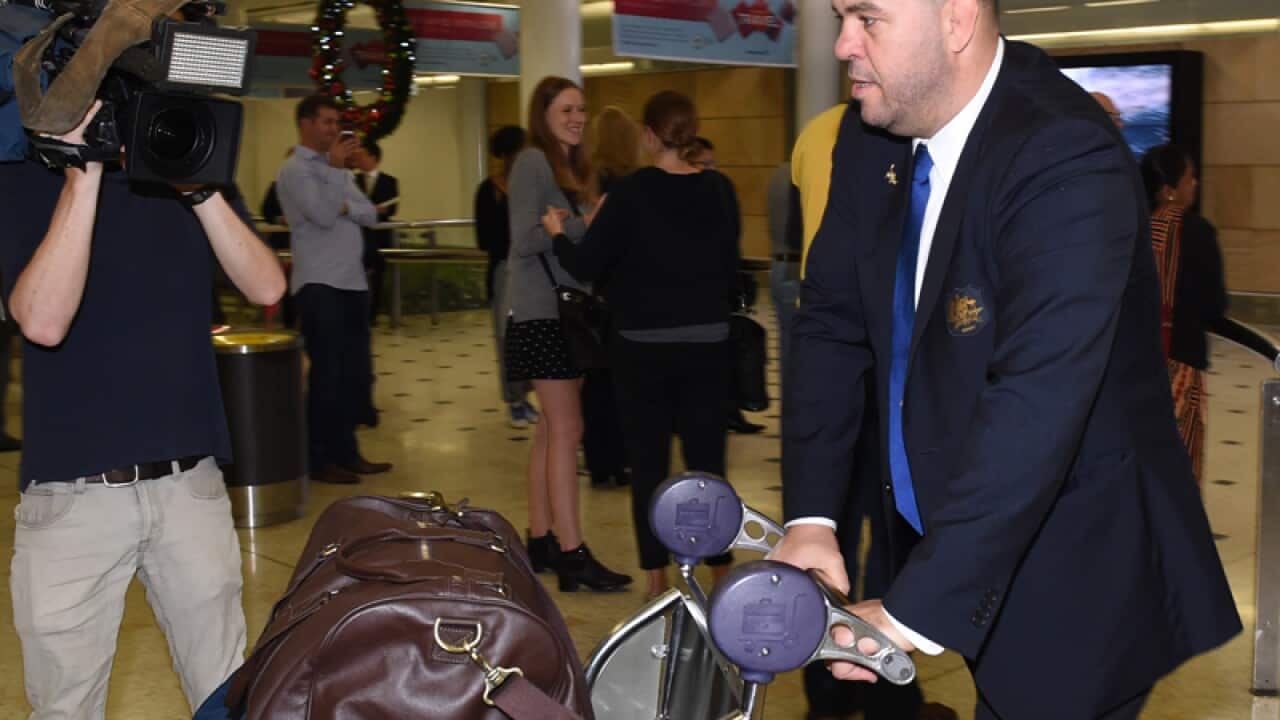 Wallabies coach Michael Cheika arrives at Sydney International Airport