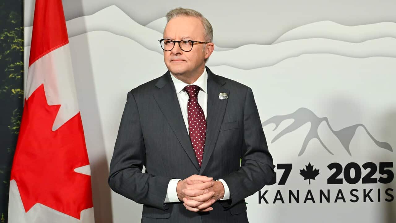 Anthony Albanese stands in front of a white backdrop and Canadian flag