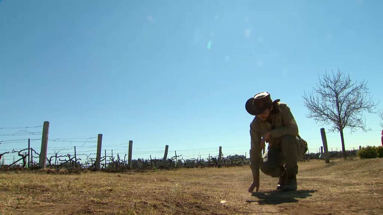 Australia's wine industry is on the front line of climate change, and winemakers across the country are being forced to change production techniques to stay viable.