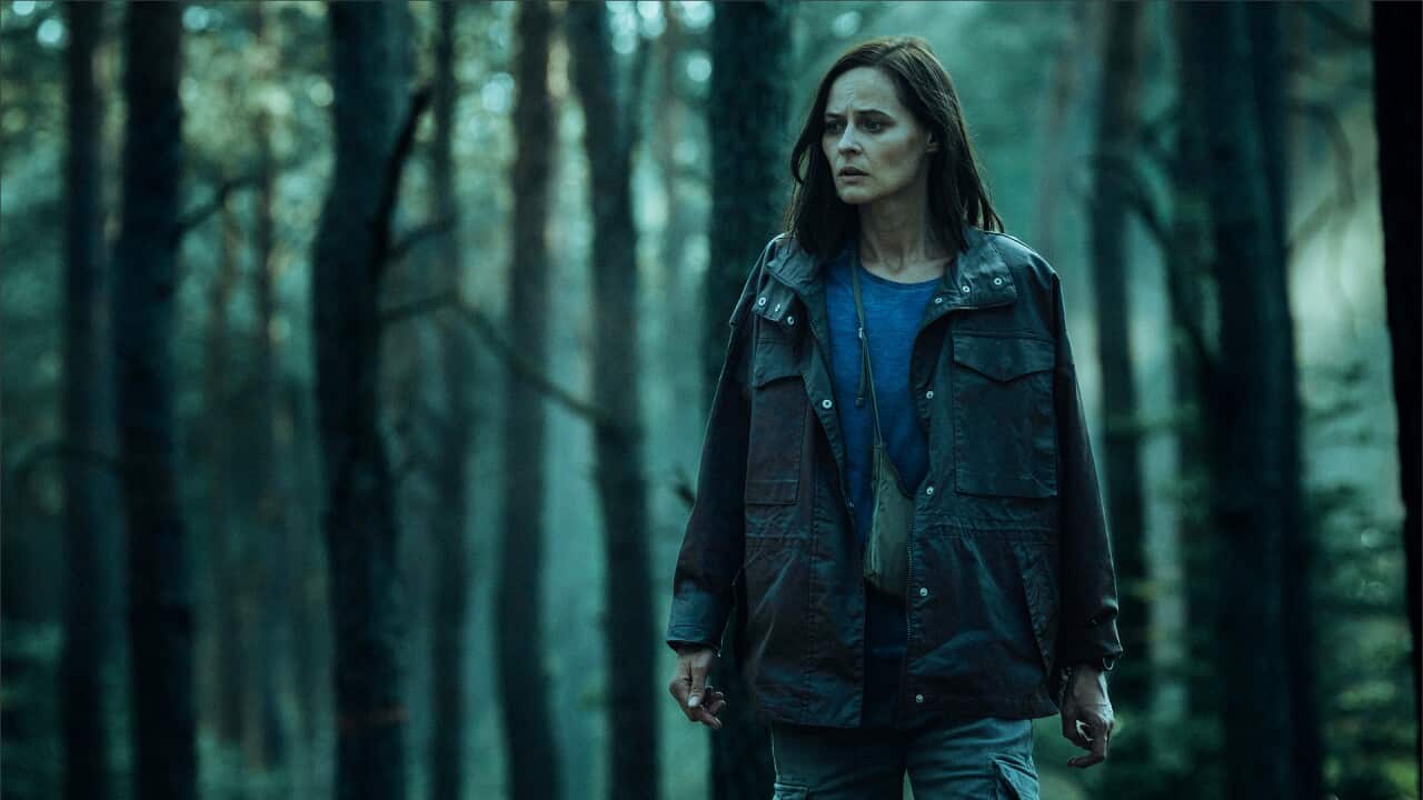 CZARNE_STOKROTKI_CANAL+ ORIGINAL