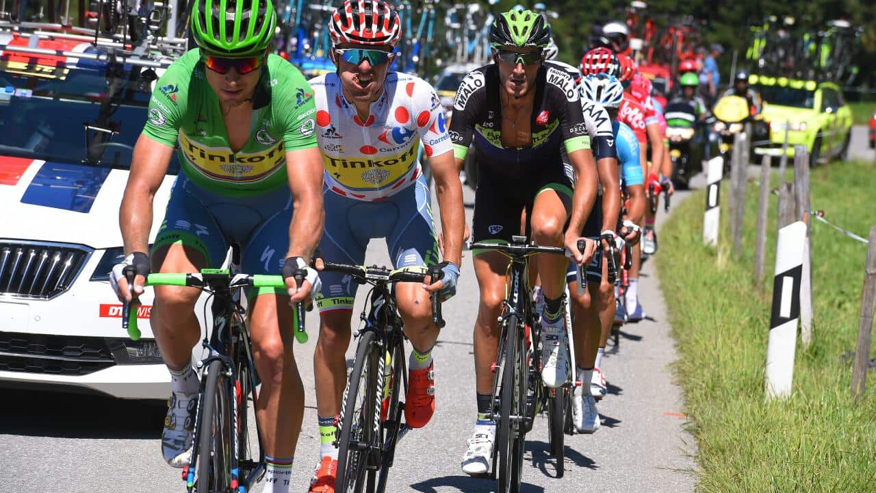 Peter Sagan,Tinkoff,Tour de France 2016 Stage 17
