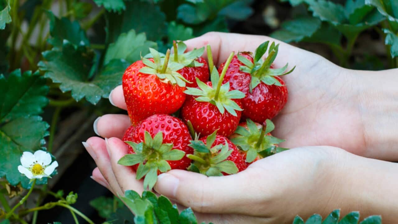 Image for read more article 'READ MORE'