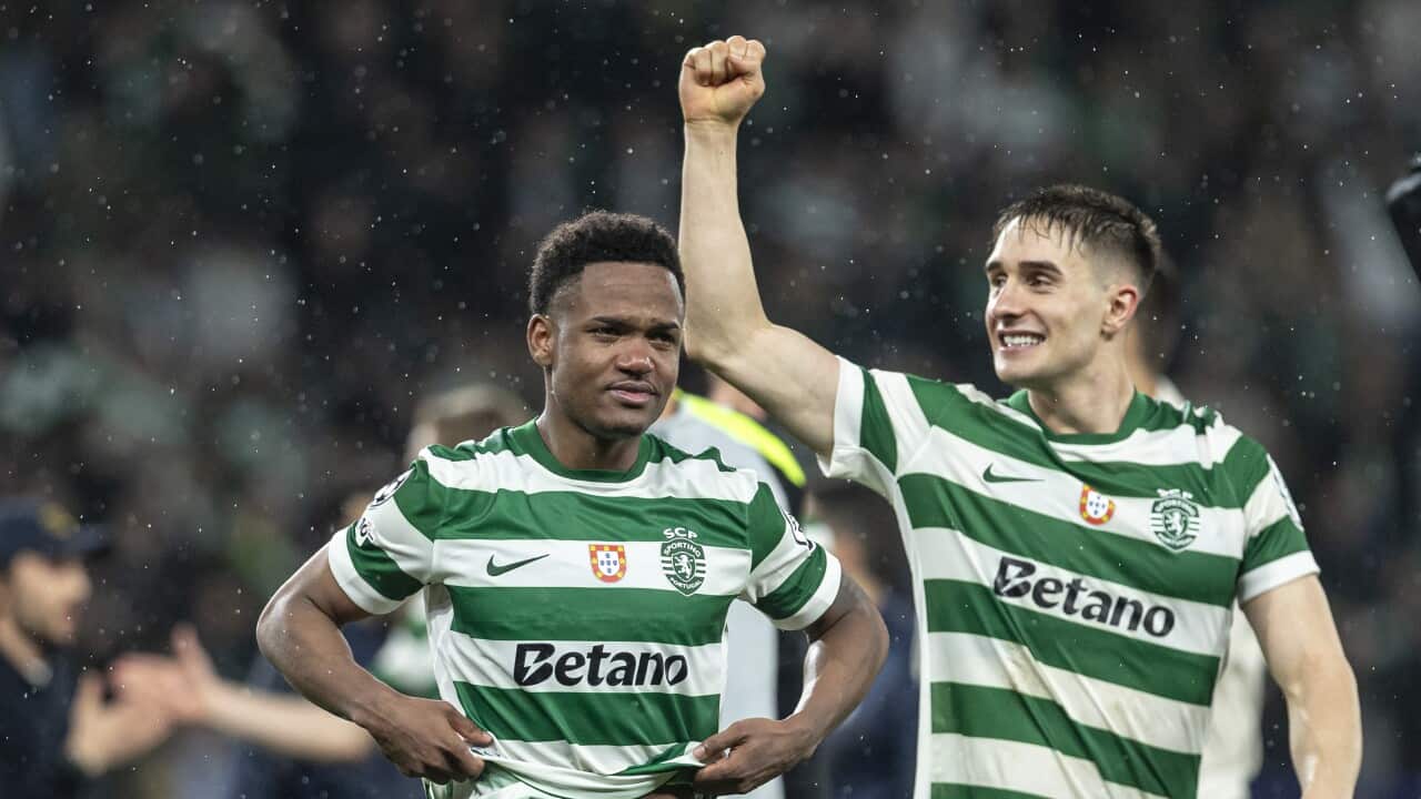 UEFA Champions League - Sporting CP vs FK Bodø/Glimt - Estadio Jose Alvalade