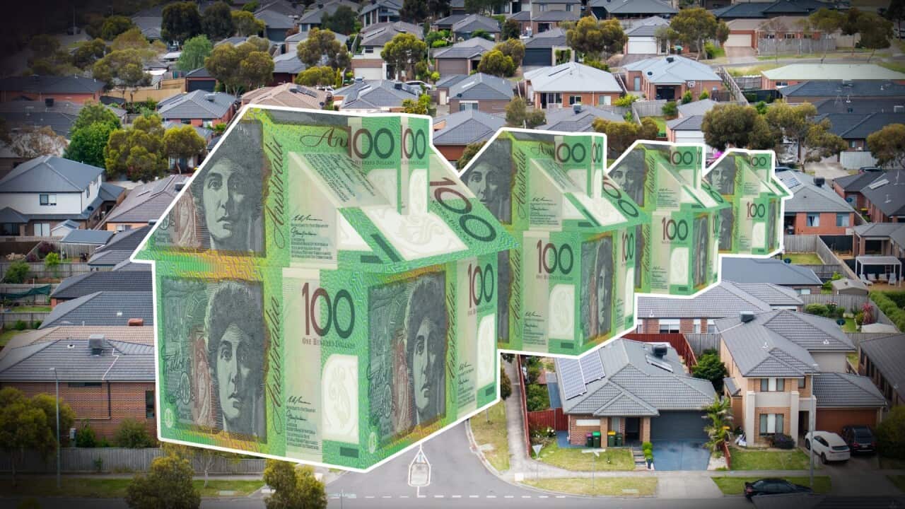 Image for read more article 'READ MORE'