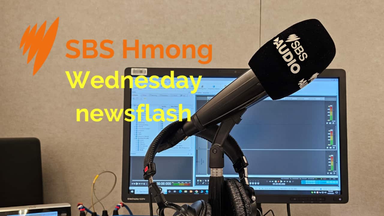 Wednesday newsflash (SBS).png