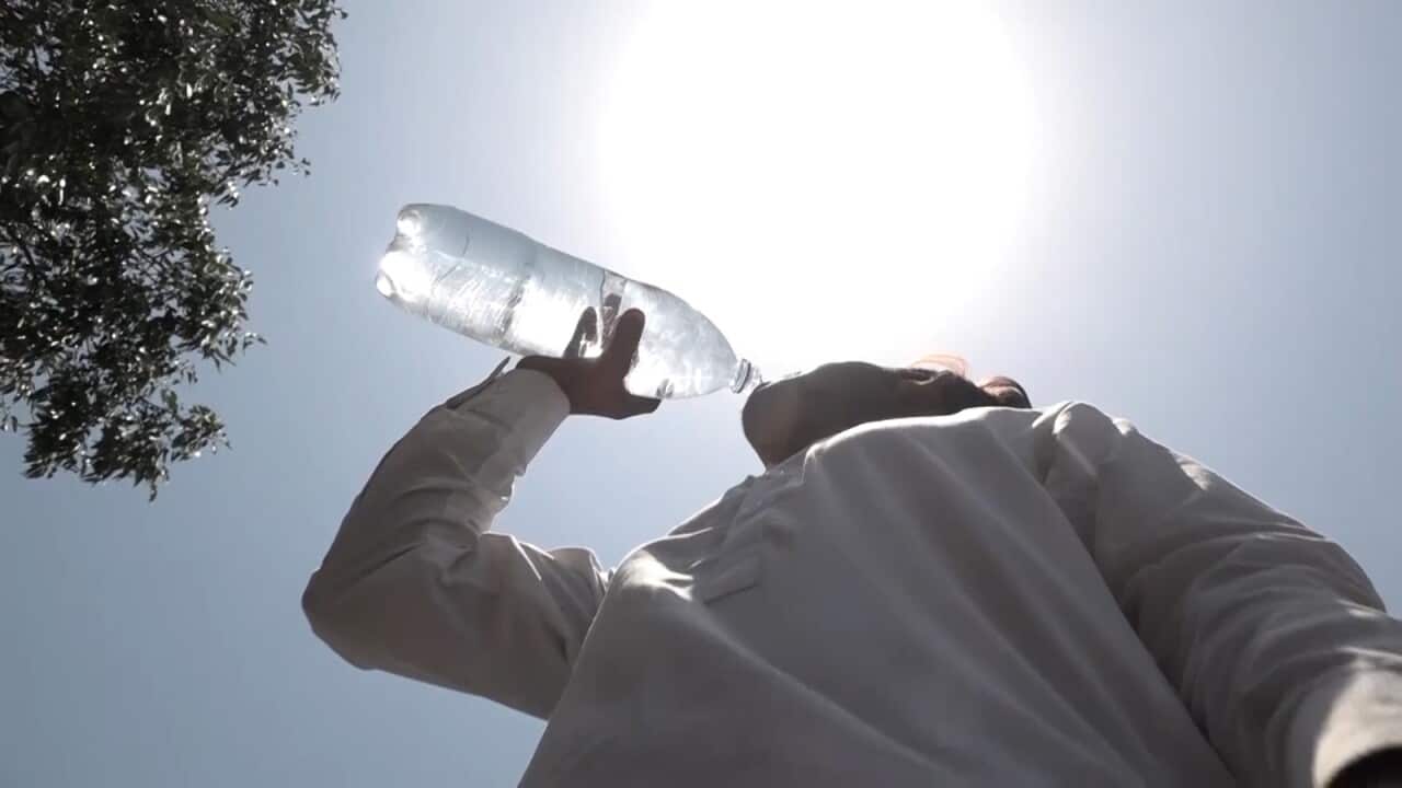 WhatsApp Image 2024-07-10 at 08.23.18 (2).jpeg