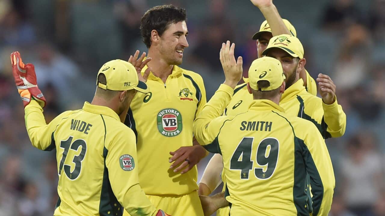Australian players celebrate after claiming a wicket
