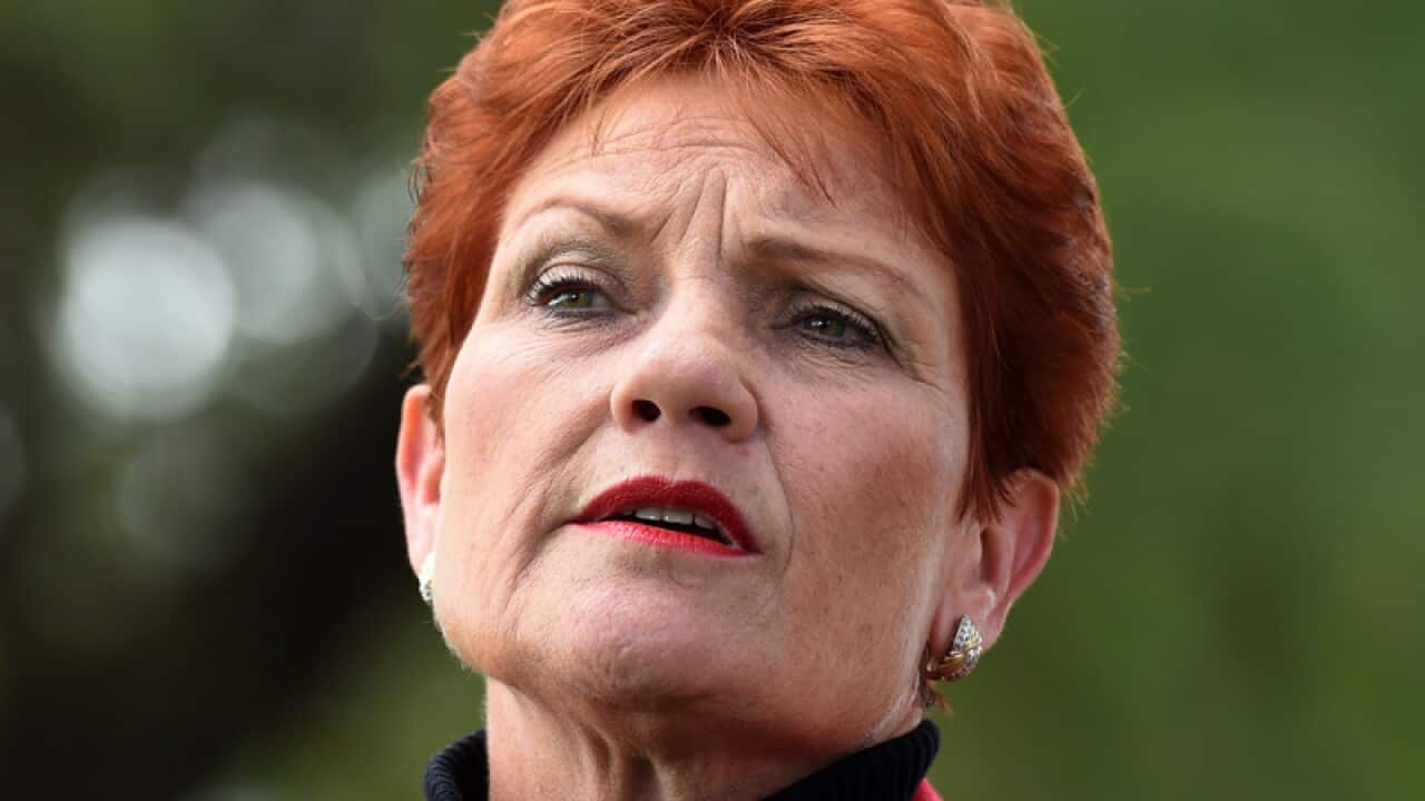 One Nation's Pauline Hanson
