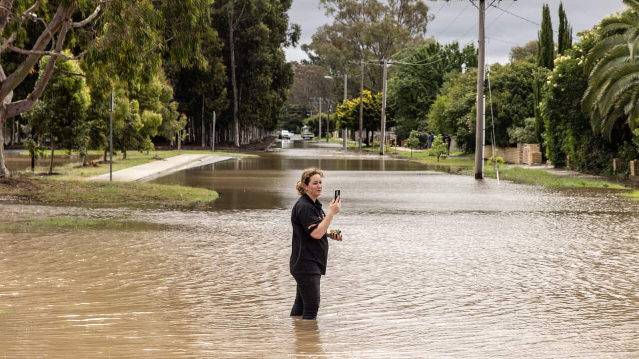 VICTORIA HEAVY RAINFALL