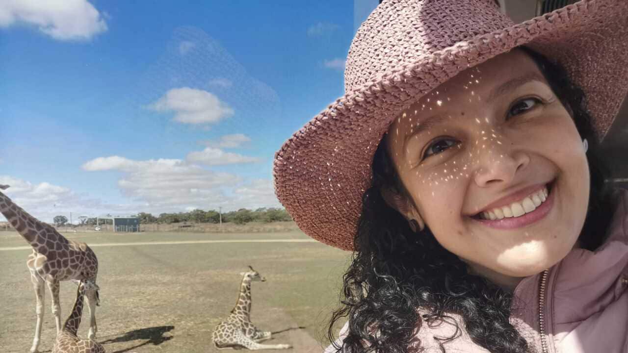 Image for read more article 'Información relacionada:'