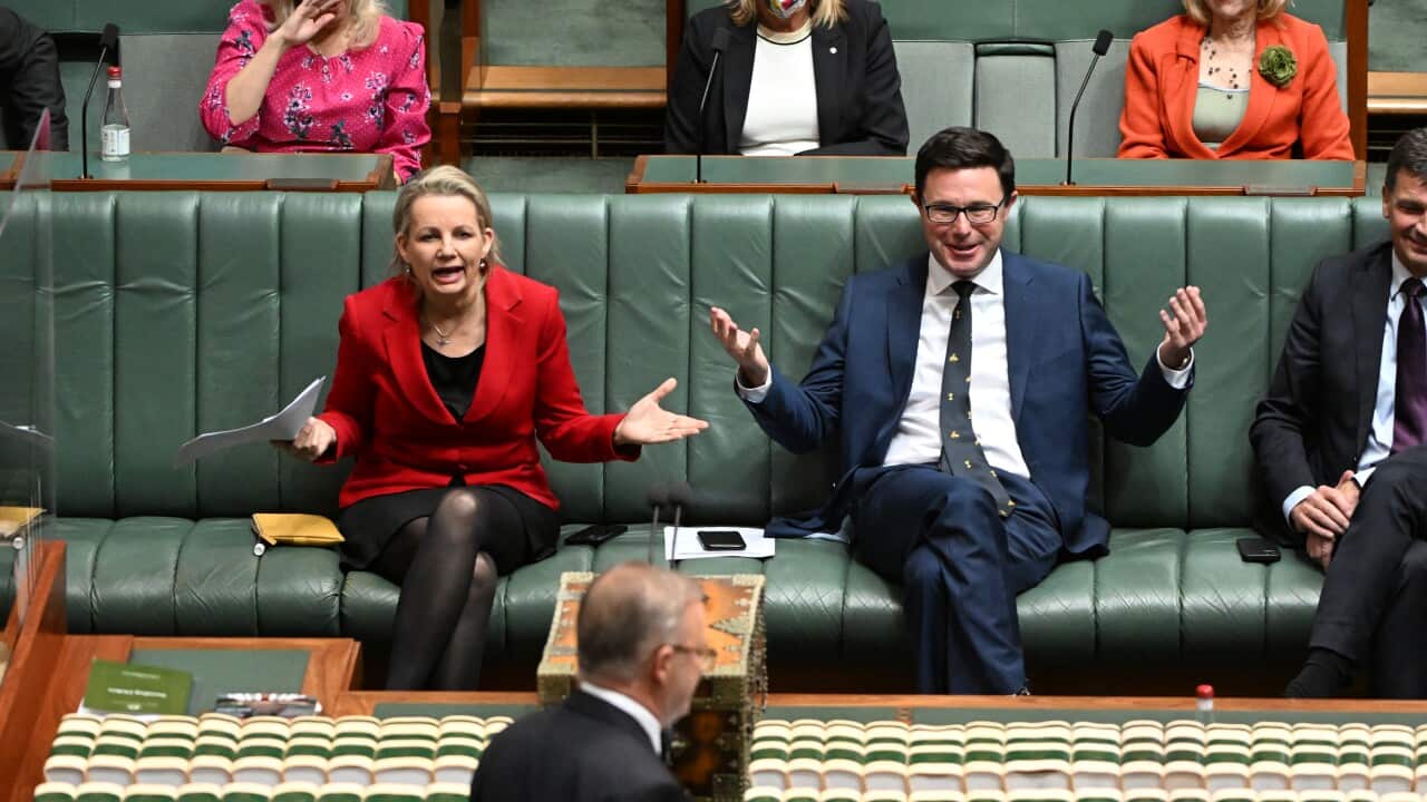 Image for read more article 'DE VERHALEN IN DEZE UITZENDING'