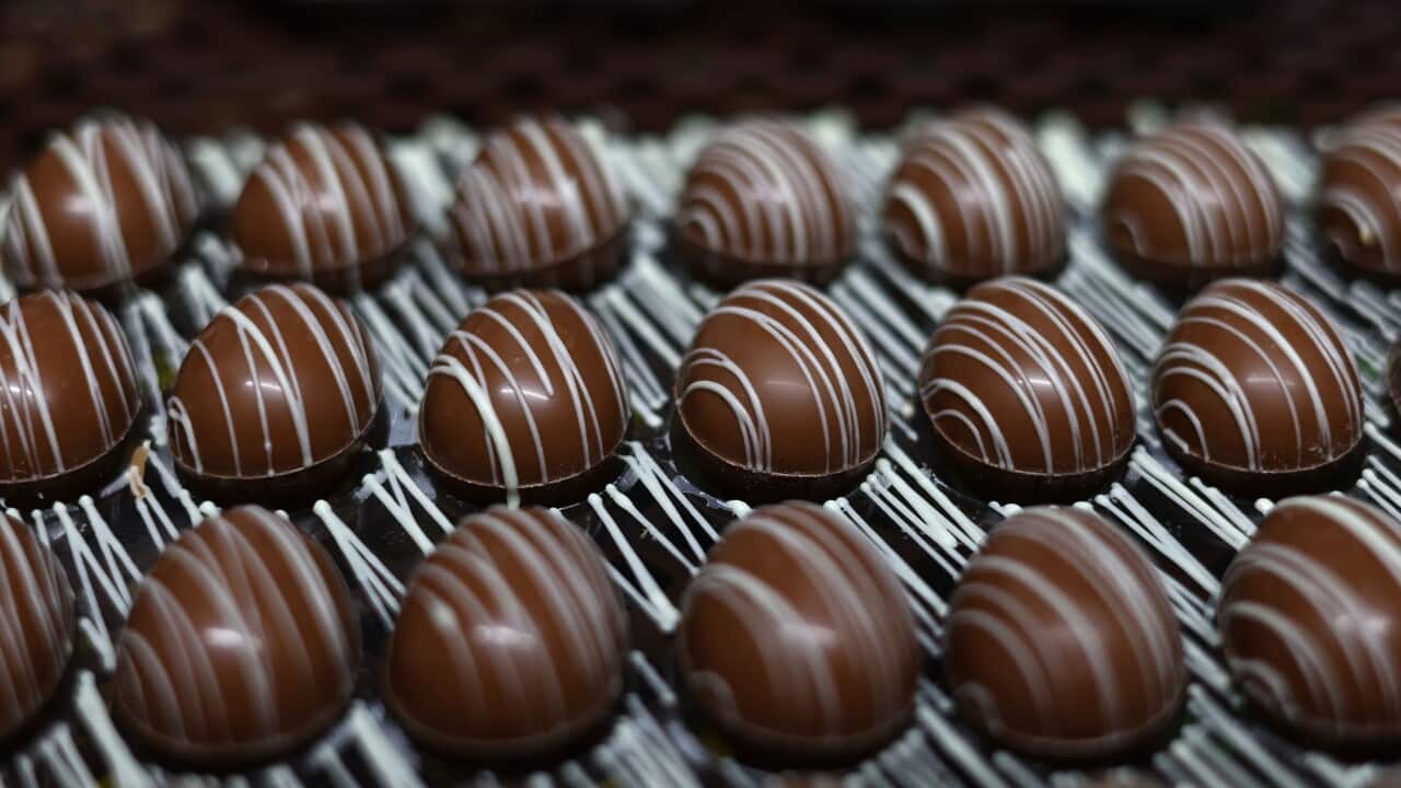 Easter egg production at Kreutzkamm confectionery in Munich. Rows of chocolate eggs fill the frame, each with a spiralling white drizzle over them.