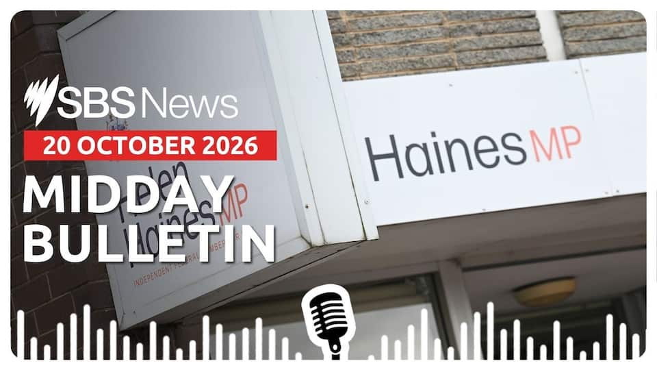 Atak Download Man in custody after Helen Haines alleged attack | Midday News Bulletin ...