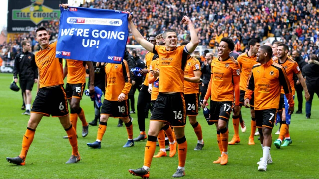Wolves