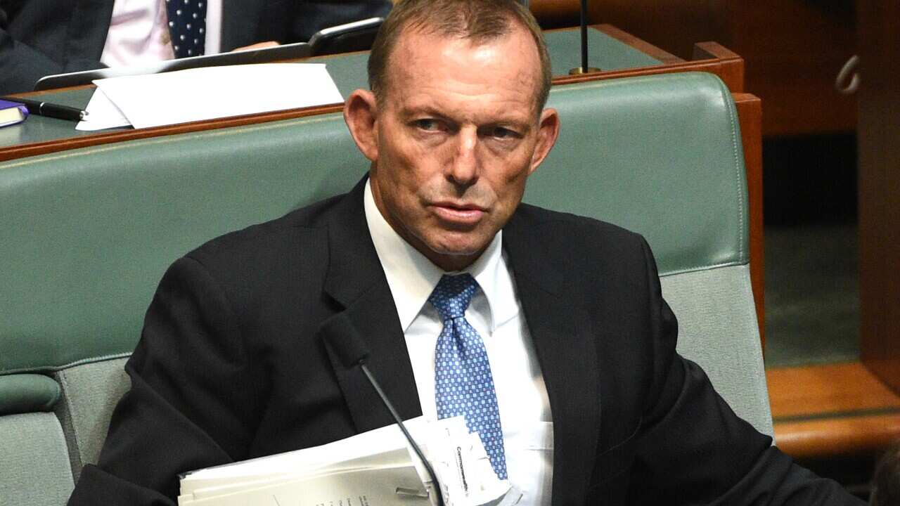 Former prime minister Tony Abbott