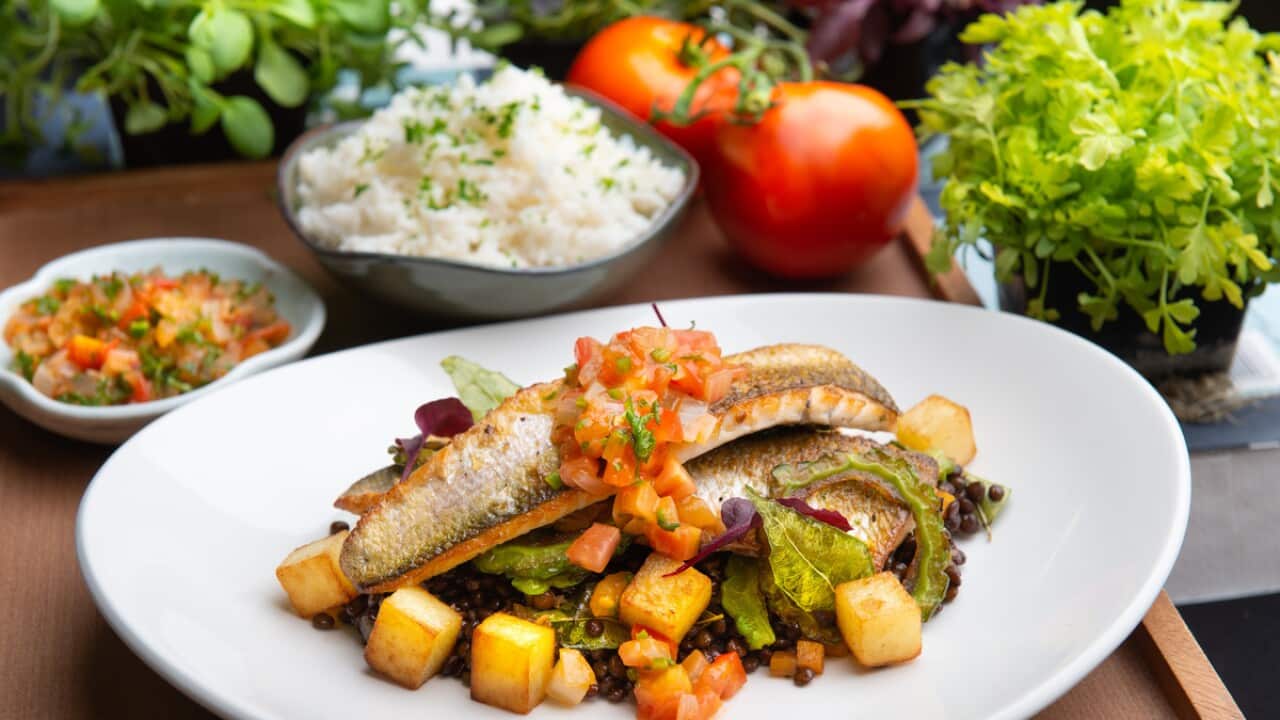 Black lentils and fried fish is one such dish featuring at the multicultural arts festival WOMADelaide this year.