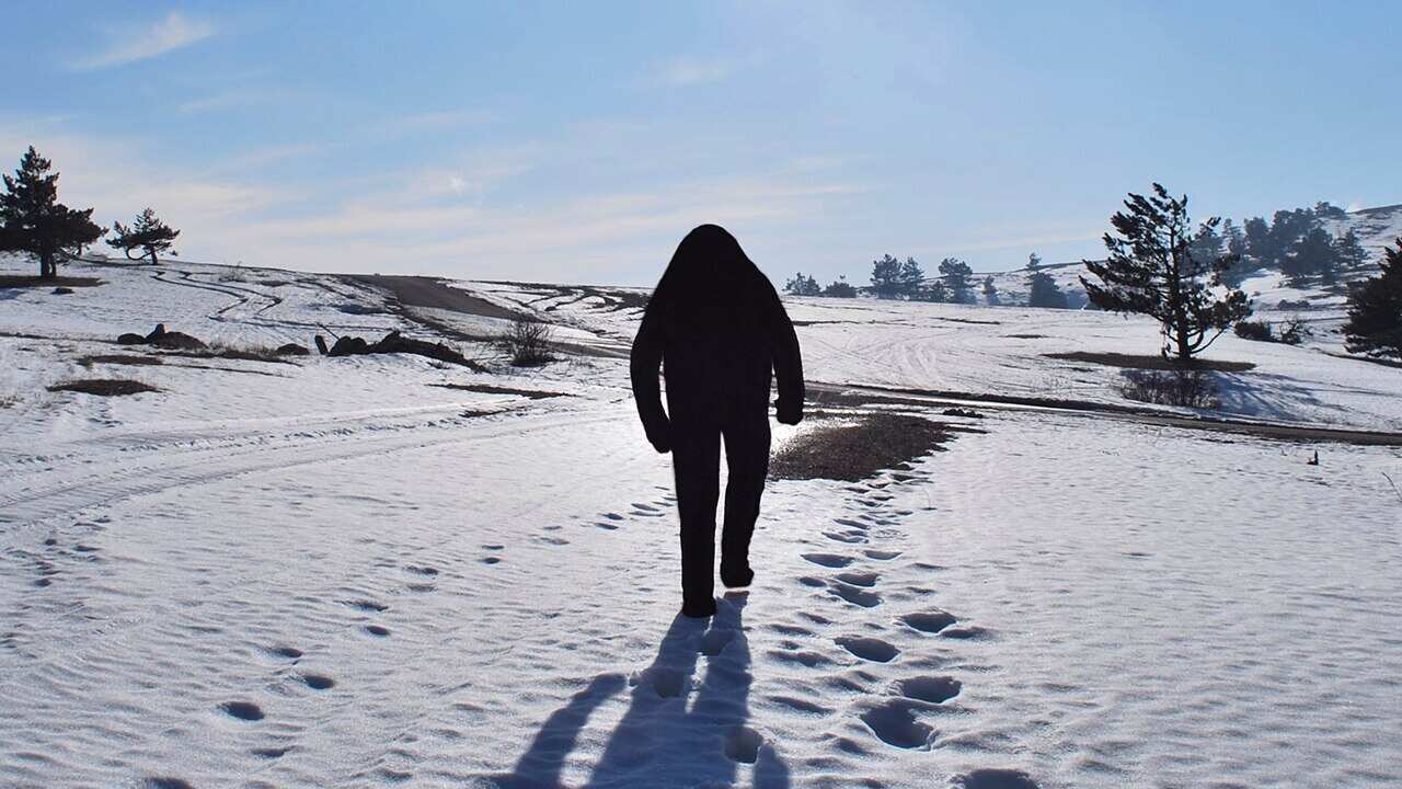 Stock Photo: Yeti