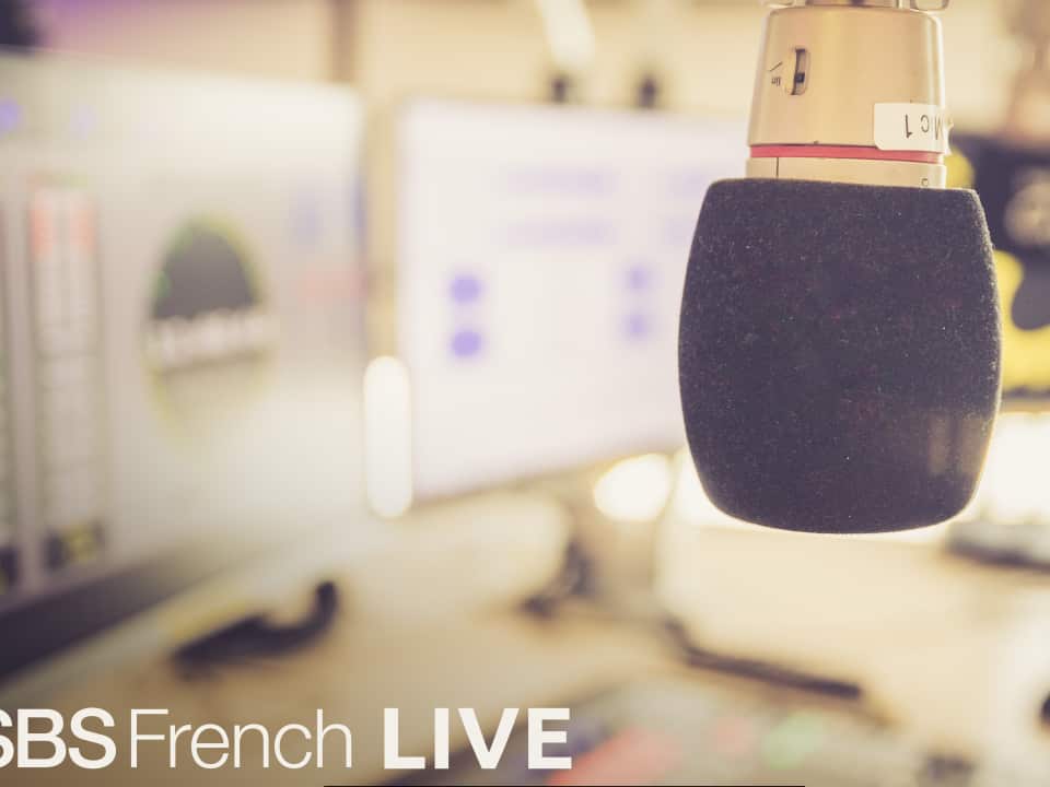 SBS LIVE French Pix fff.jpg