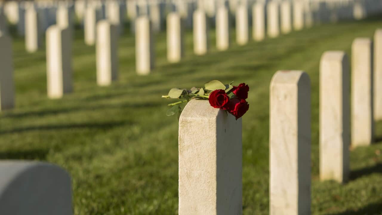 Roses on cemetery gravestone