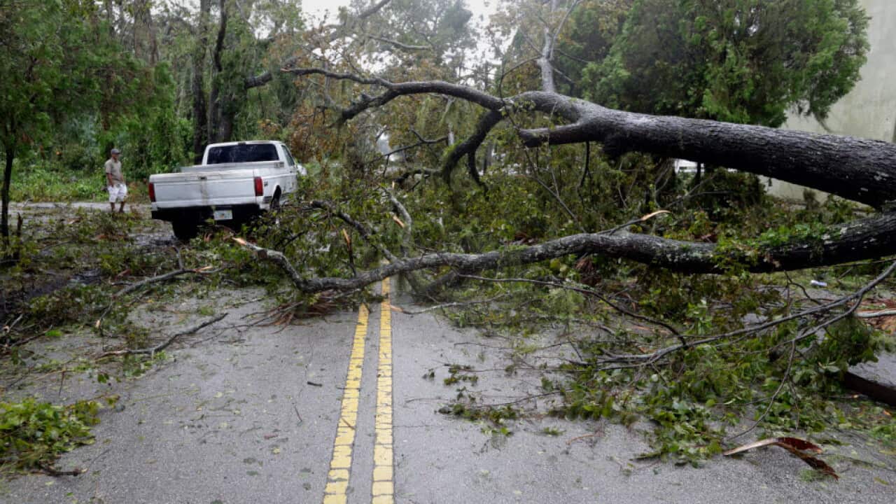 A truck negotiates around trees downed by Hurricane Matthew, Friday, Oct. 7, 2016, in Daytona Beach. Florida