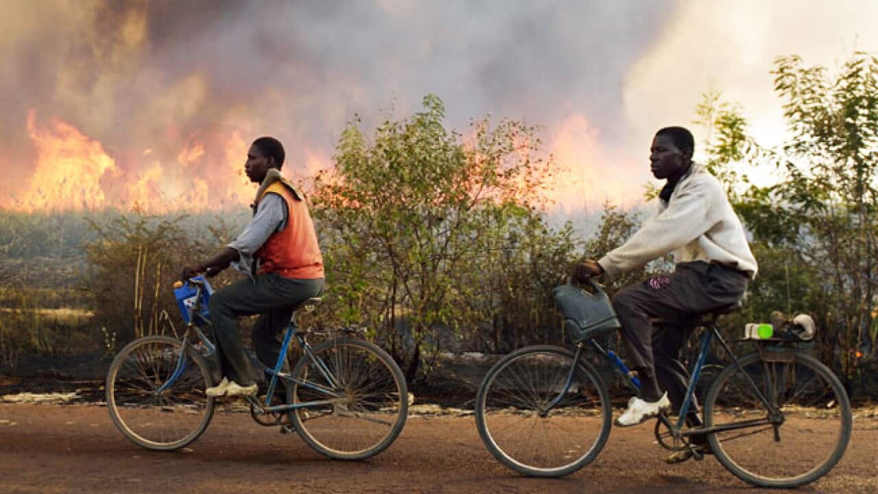 mali_crops_240113_afp_1137938340