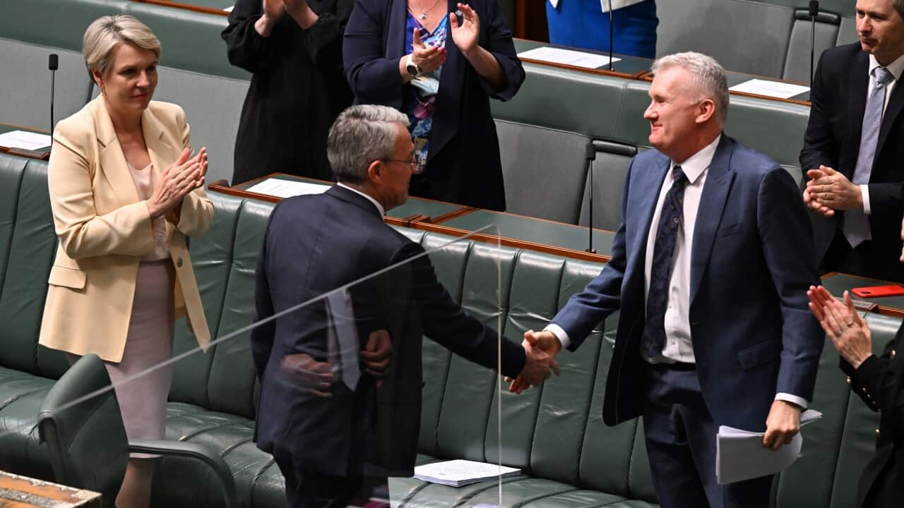 Attorney-General Mark Dreyfus shakes hands with Employment Minister Tony Burke after the National Anti-Corruption Commission Bill passes the House of Representatives.