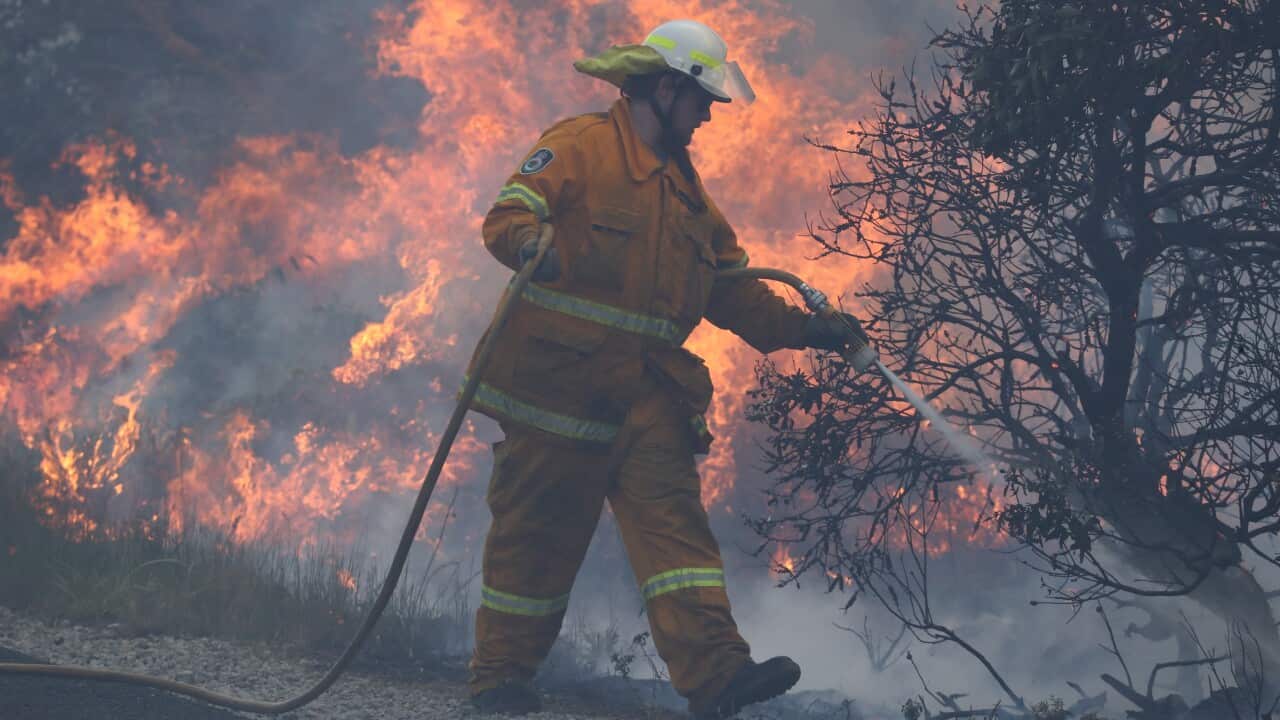 Firefighters battle bushfires at Angourie in northern New South Wales.