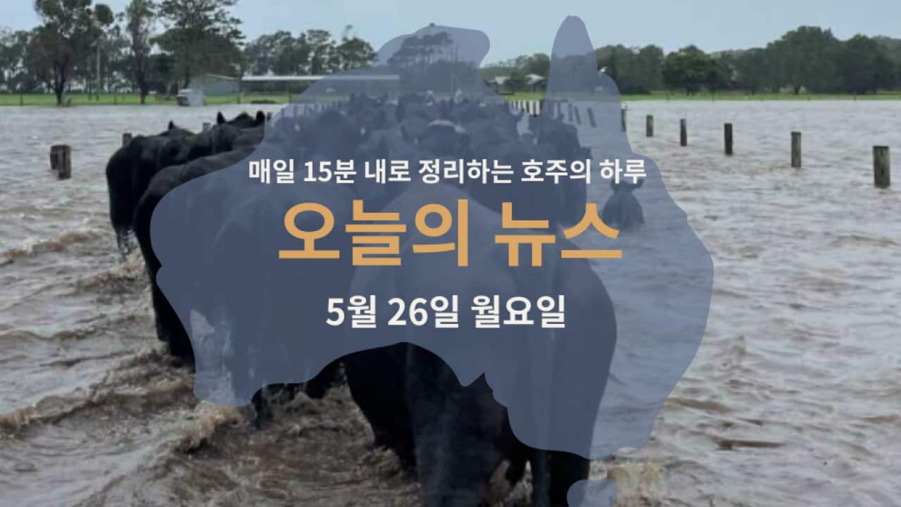 26052025.png