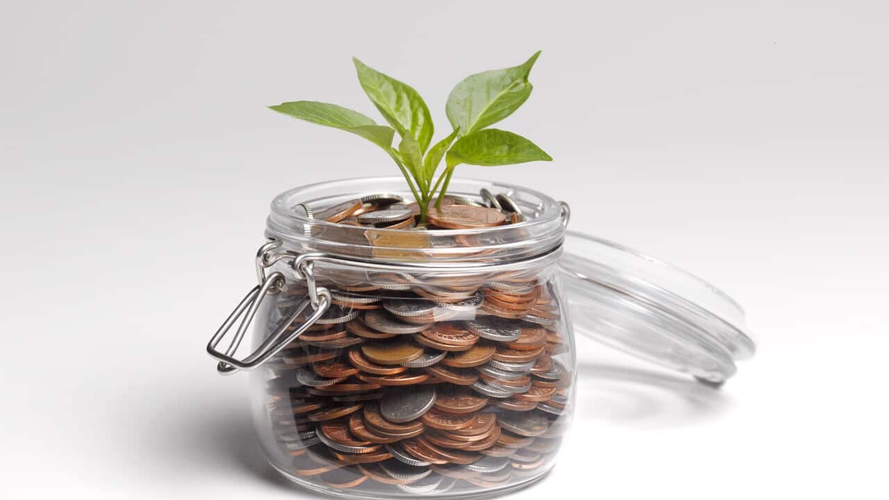 Savings with shoots growing