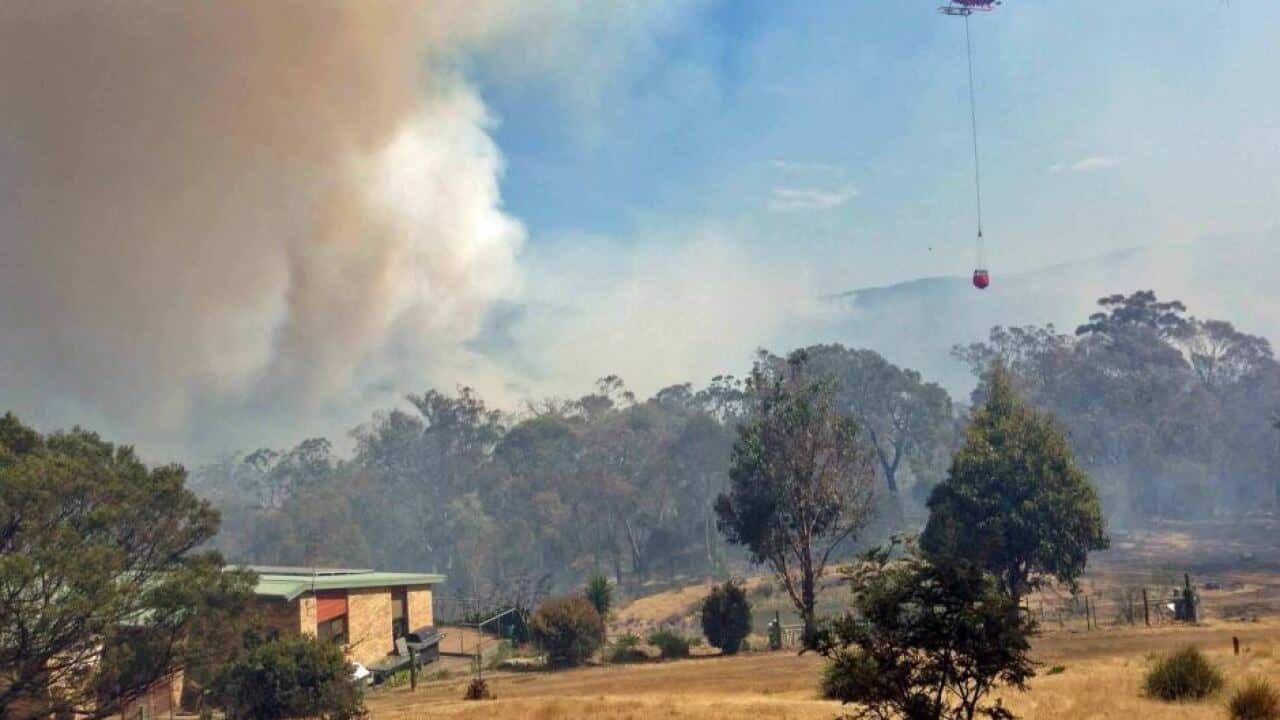 Ellen Witte bushfires tasmania