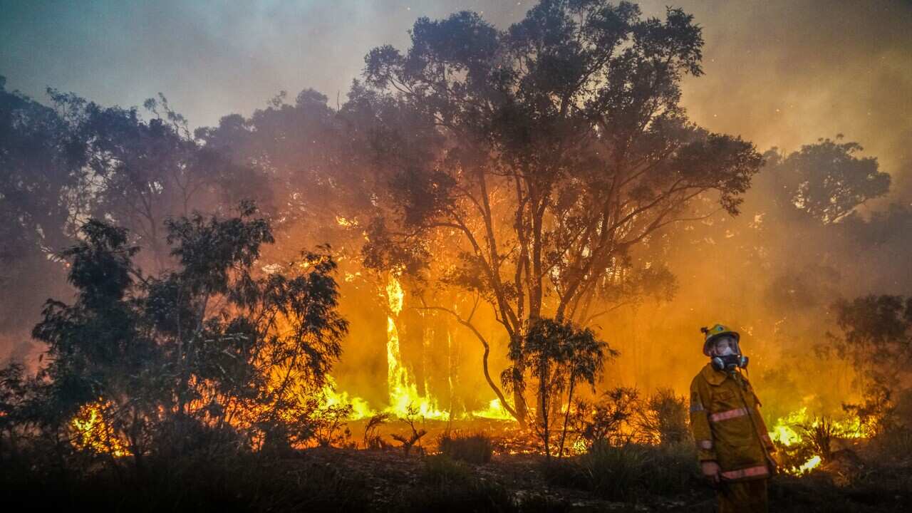 Image for read more article 'READ MORE'