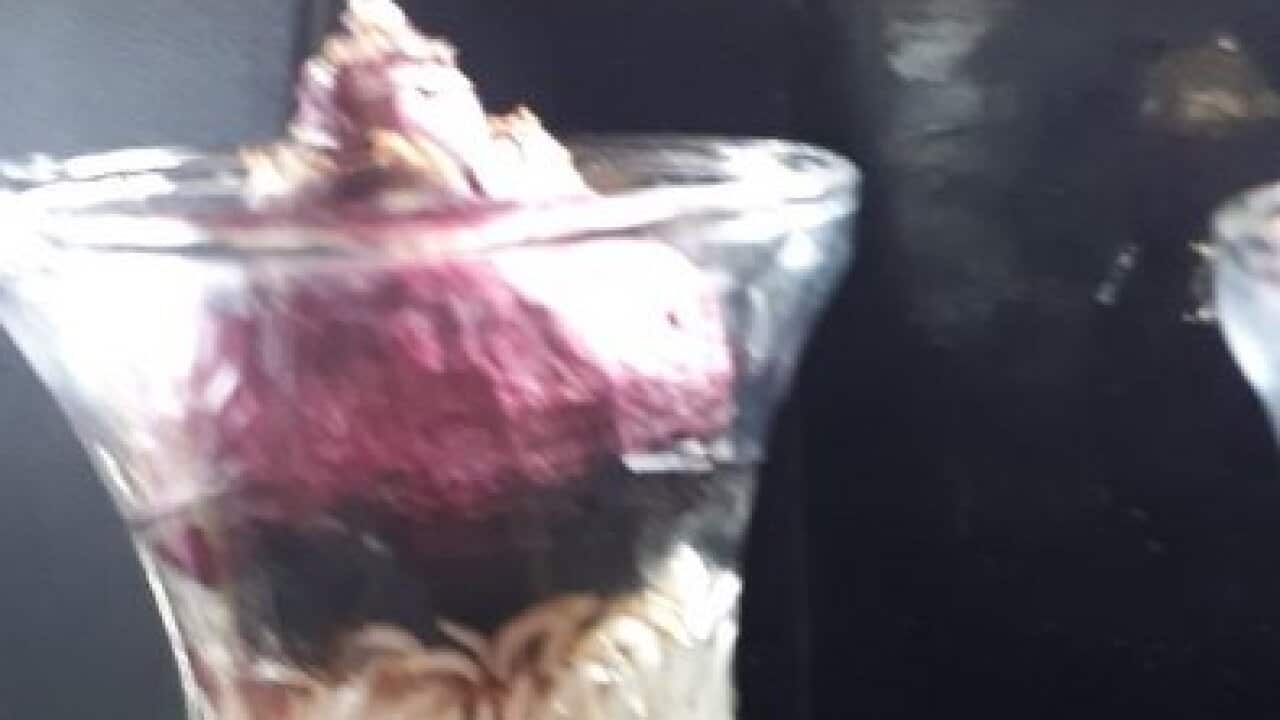 Flowering bulb in vase