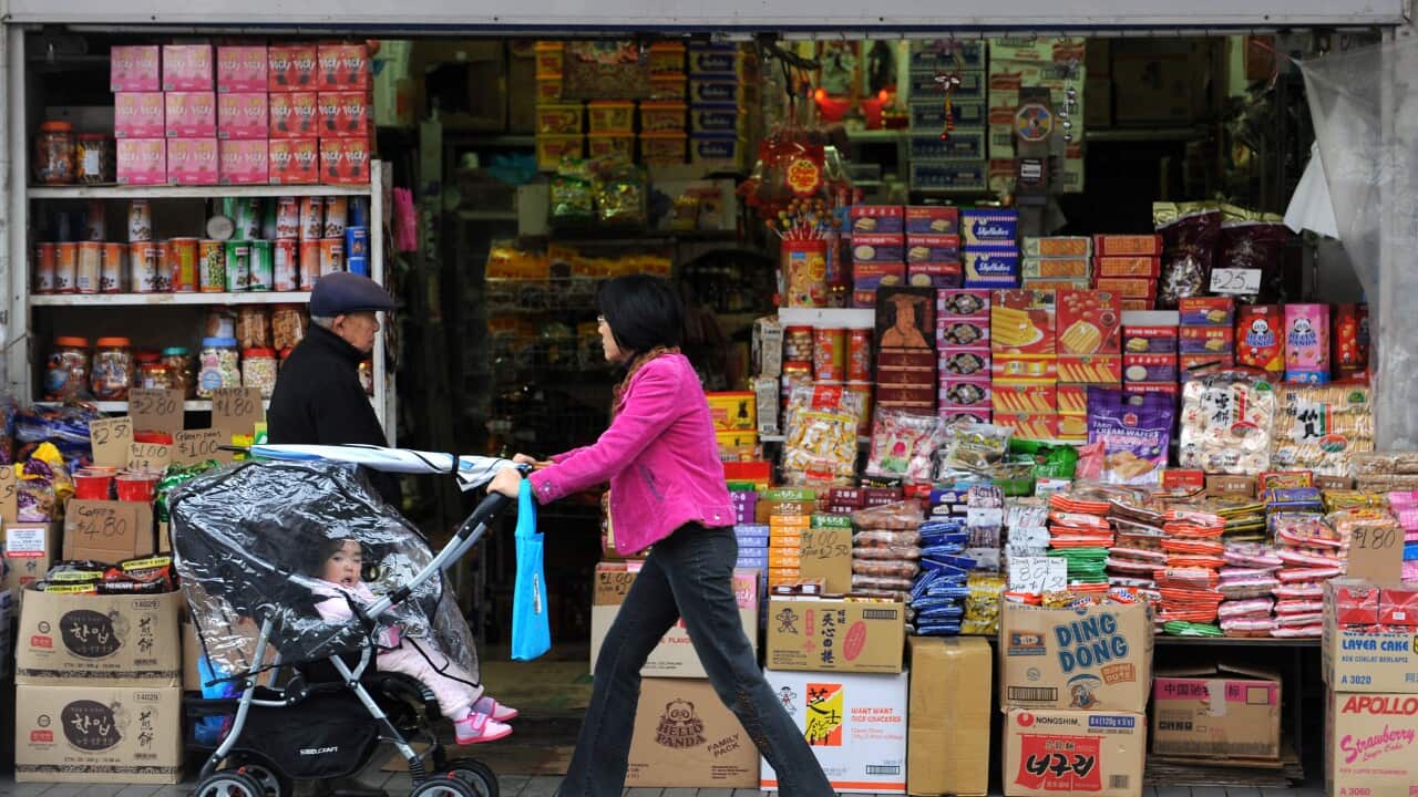 Studies show refugees are entrepreneurial and will often open their own small businesses, similar to this Asian grocery store in Cabramatta, western Sydney.