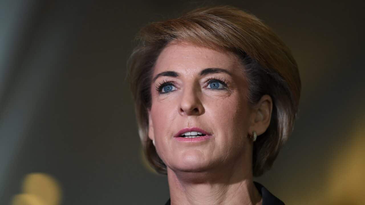 Employment Minister Michaelia Cash.