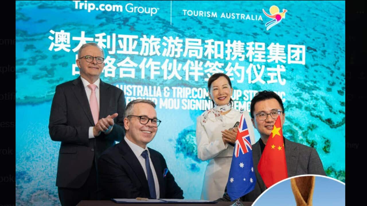 Albo in China - X.jpg