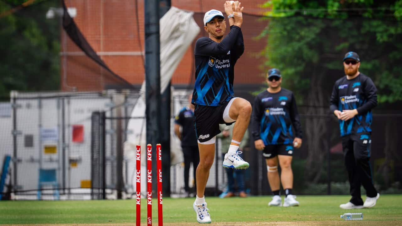 India-born cricketer Jerrssis Wadia has earned a place in the Cricket Australia XI squad after impressing with the Adelaide Strikers in the Big Bash League. Credit: Michael Sullivan / SACA