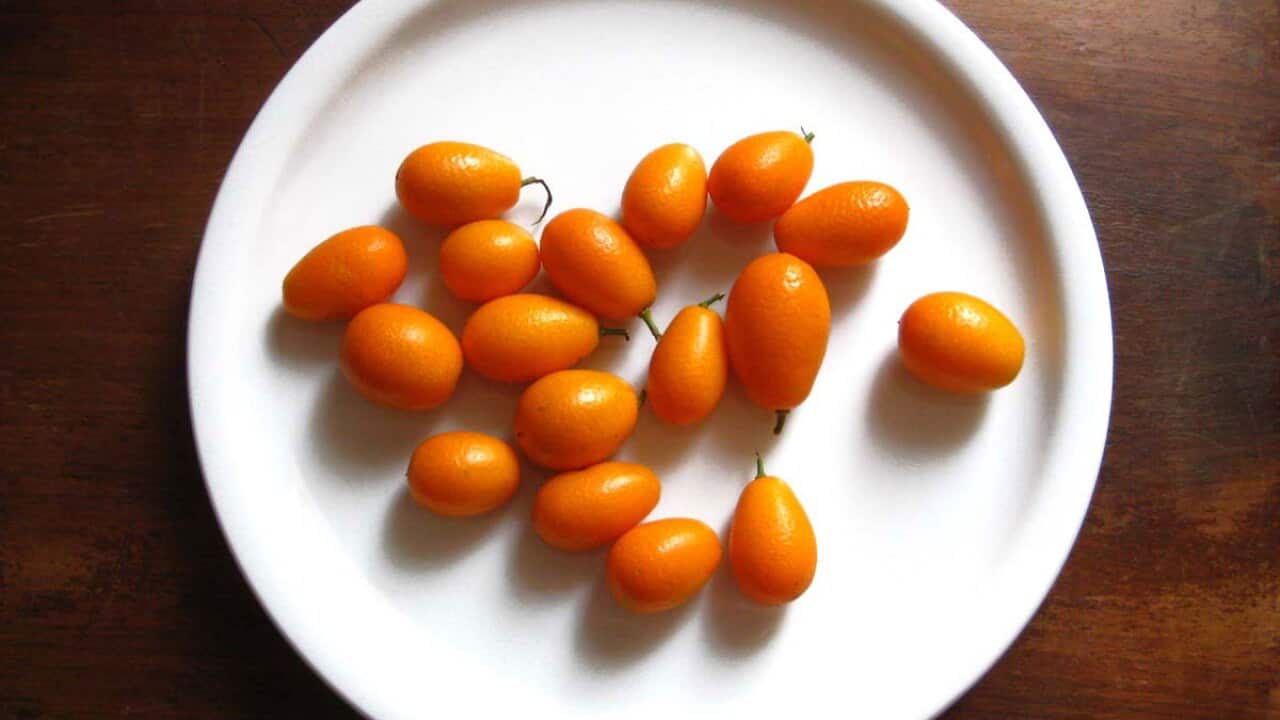 Cumquats