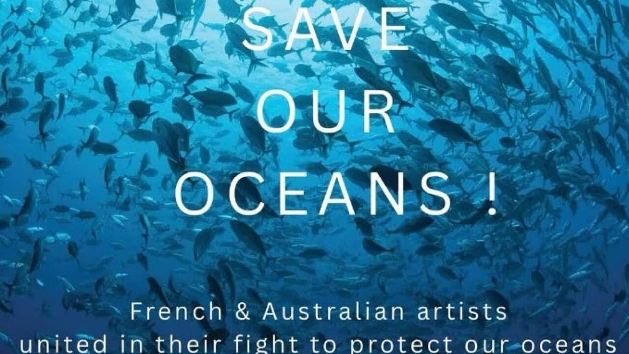 save our oceans.jpg