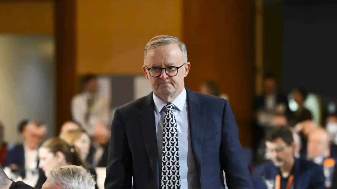 Prime Minister Anthony Albanese.jpg