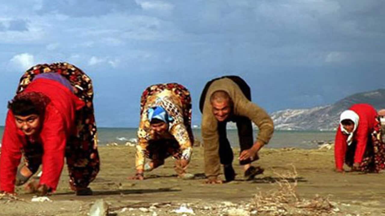 family_on_four_legs_130503_bbc_1918418013