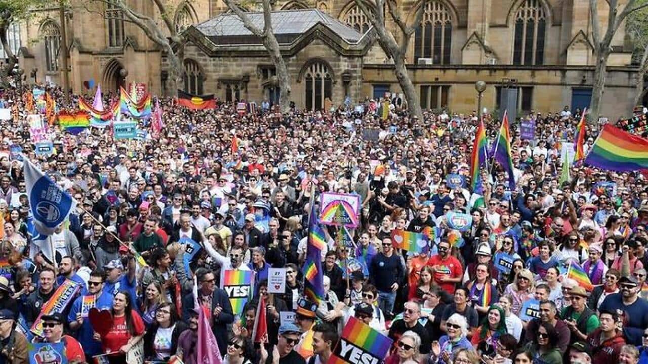 Tens of thousands turned out in Sydney and Brisbane to support same-sex marriage on Sunday.