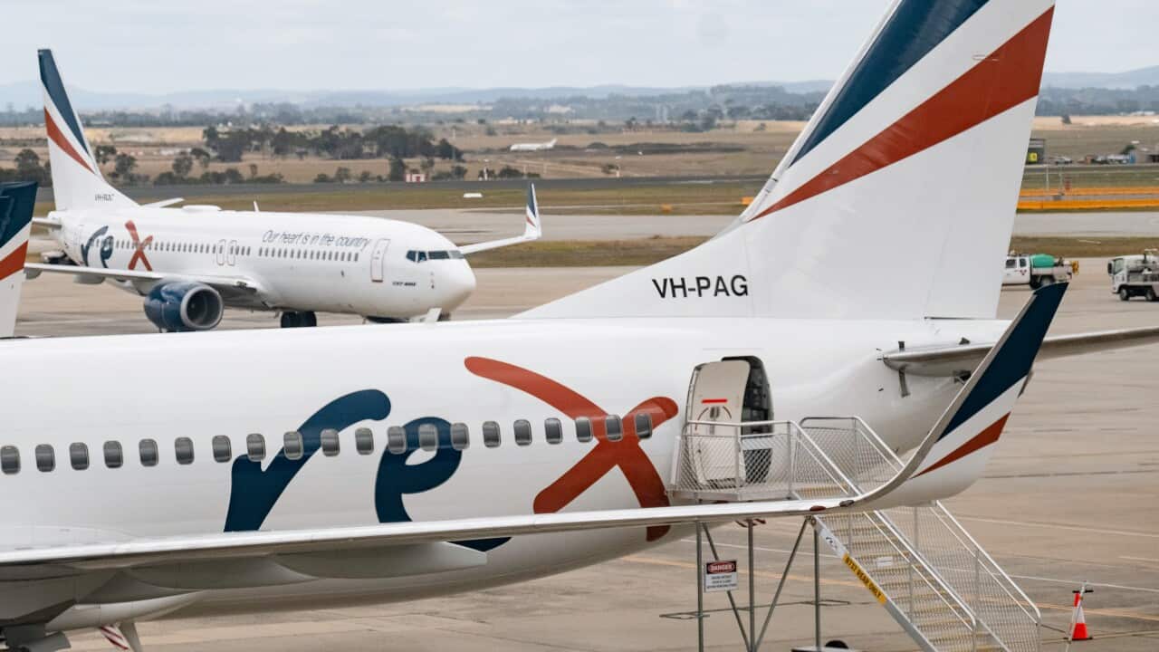 A plane on an airport tarmac with the Rex logo on it.