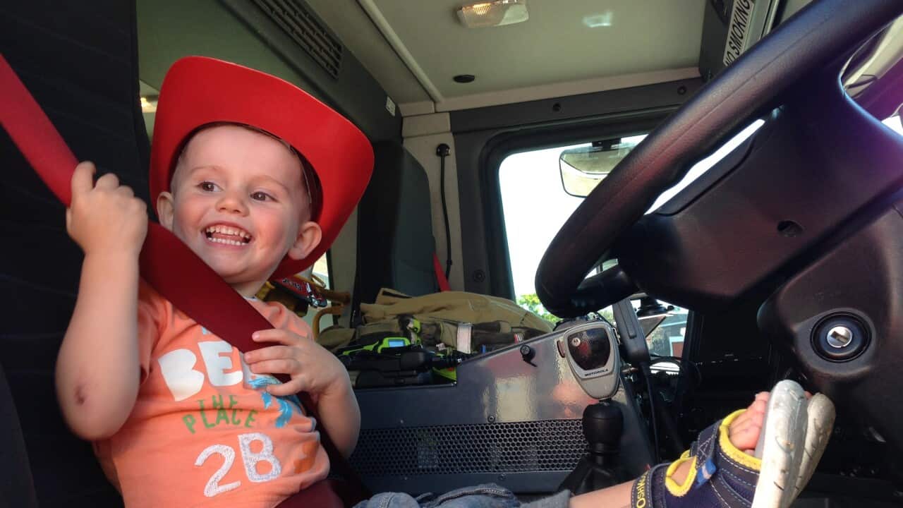 A supplied image obtained Monday, Sept. 15, 2014 of missing three-year-old boy William Tyrrell. Extra police from Sydney and Newcastle are heading to Kendall on the NSW mid-north coast to search for the missing boy.