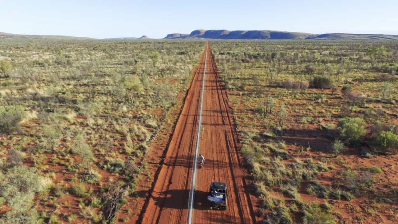 Part of the world's longest cat-proof fence.