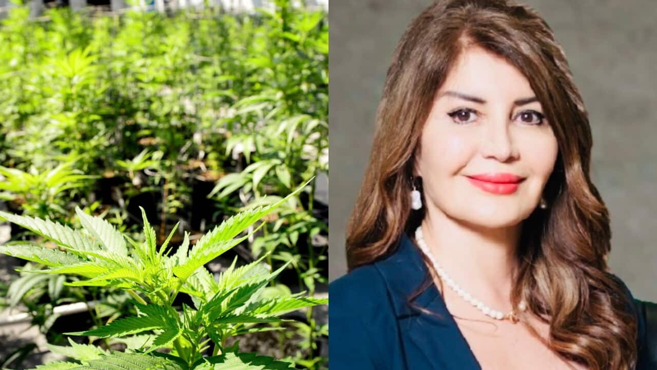 Dr. Mariam Joseph.jpg