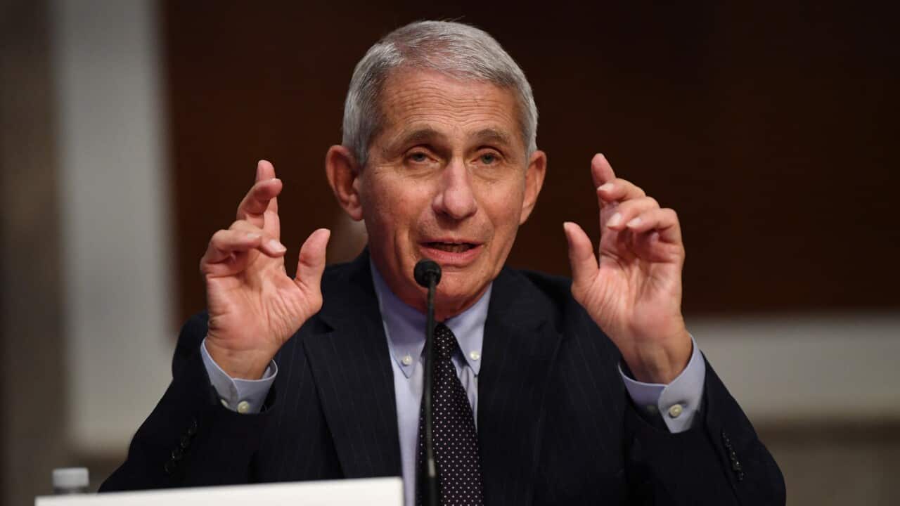 Dr Anthony Fauci, director of the National Institute for Allergy and Infectious Diseases