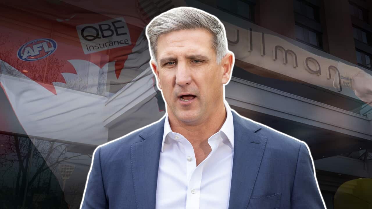 SWANS GRAPHIC