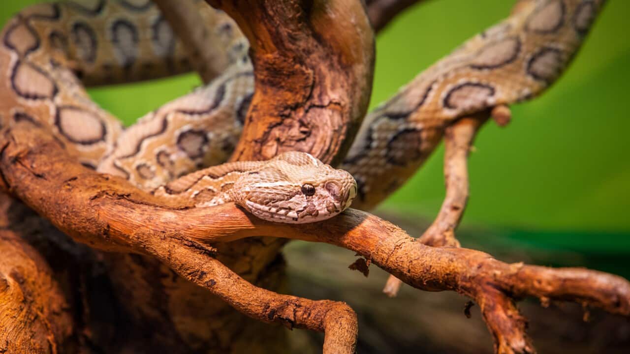 Image for read more article 'READ MORE'