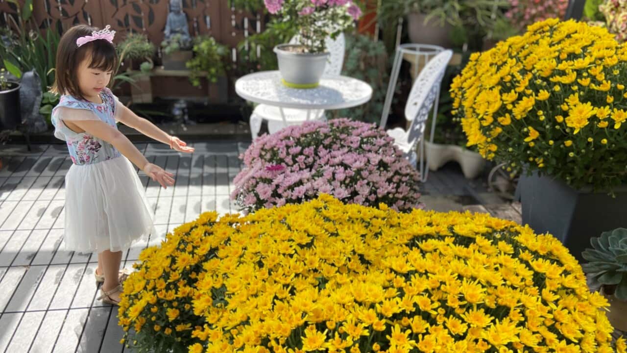 Image for read more article ''